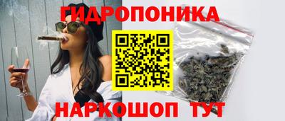 МДПВ Будённовск