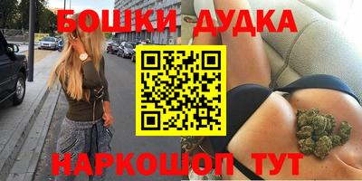 МДПВ Будённовск