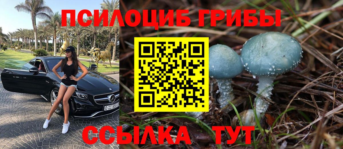 Псилоцибиновые грибы Psilocybe  Вход с VPN  магазин продажи наркотиков  Тында 